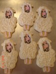 Lamb cookies